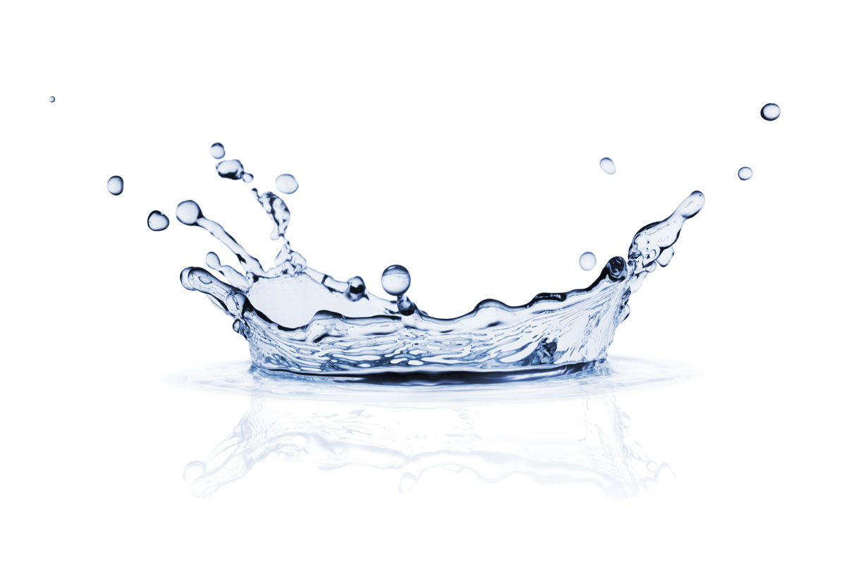 Splash